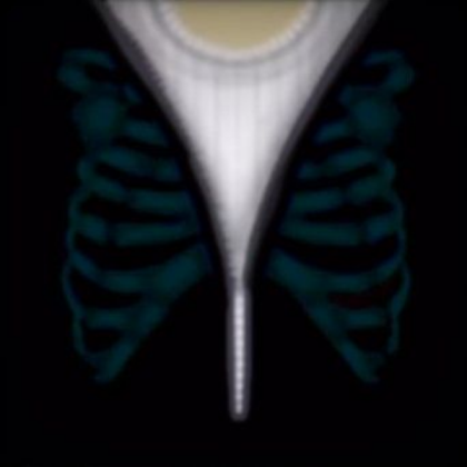 skeleton hoodie Roblox decal