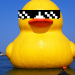 The cool duck group.