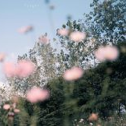 ʚ♡ɞ