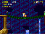 Tails the fox club