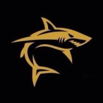 Golden Shark Studios