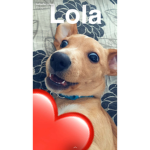 lola and izzy