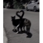 1xcK