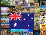 Australia party