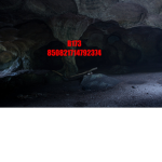 B173