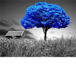 The blue tree group chat
