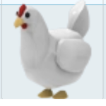 CHICKEN GROUP boo
