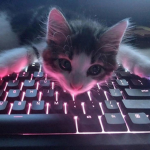 vvxqrz