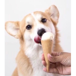 Corgi 123