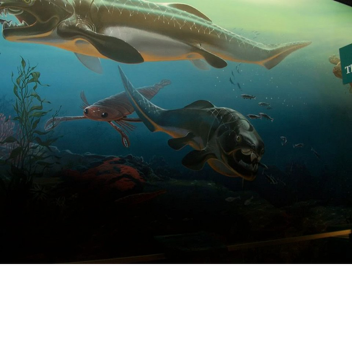 Prehistoric aquarium