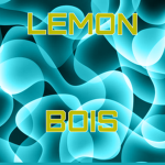 Lemon Bois Studios