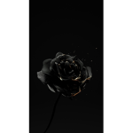 iitrusted