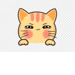 Kitty Car Studio