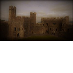 The Plague Palace