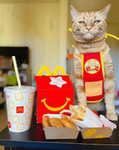 Mccats