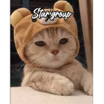$tar’s group