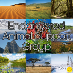 Endangered Animal Support Group