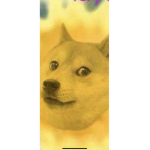DOGE G0D