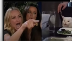 xd pic is fake ok