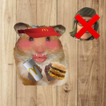 rat bbys