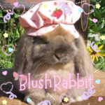 BlushRabbit