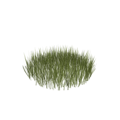 (VIRUSES CLEANED) Grass