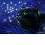 {!} Moonlight Shimmer Group | Film And RP ! {!}
