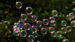 Bubble_