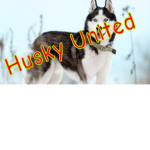 Husky United Group