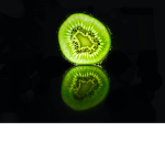 Kiwi Here peeps