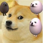 Egg doge fan club