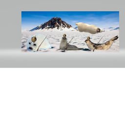 The Seal Hangout