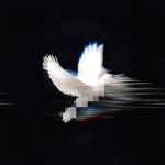 Nexorix