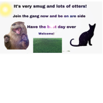 Smug and otter fandom