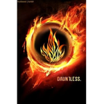 Divergent Mockingjays