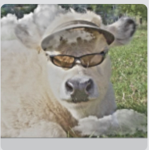 cow familia fan group