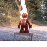 Robux for reina