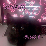 clivemtl