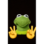 Kermit is cool