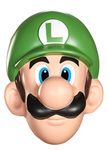 Luigi's Group Bro