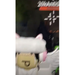 D4rkNights