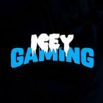 Icey Society