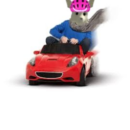 Car Simulator