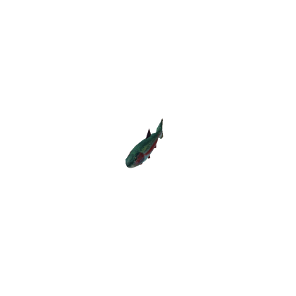 Swimming Fish