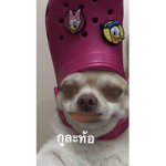 IDONTHAVEHEE