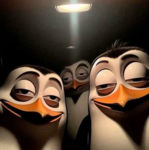 pinguiunitos
