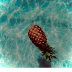 {~Pineapple_Squad~}