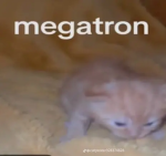 Megatron fanclub<3