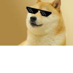 Doge is cool lol :)