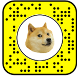 Doge studios!!